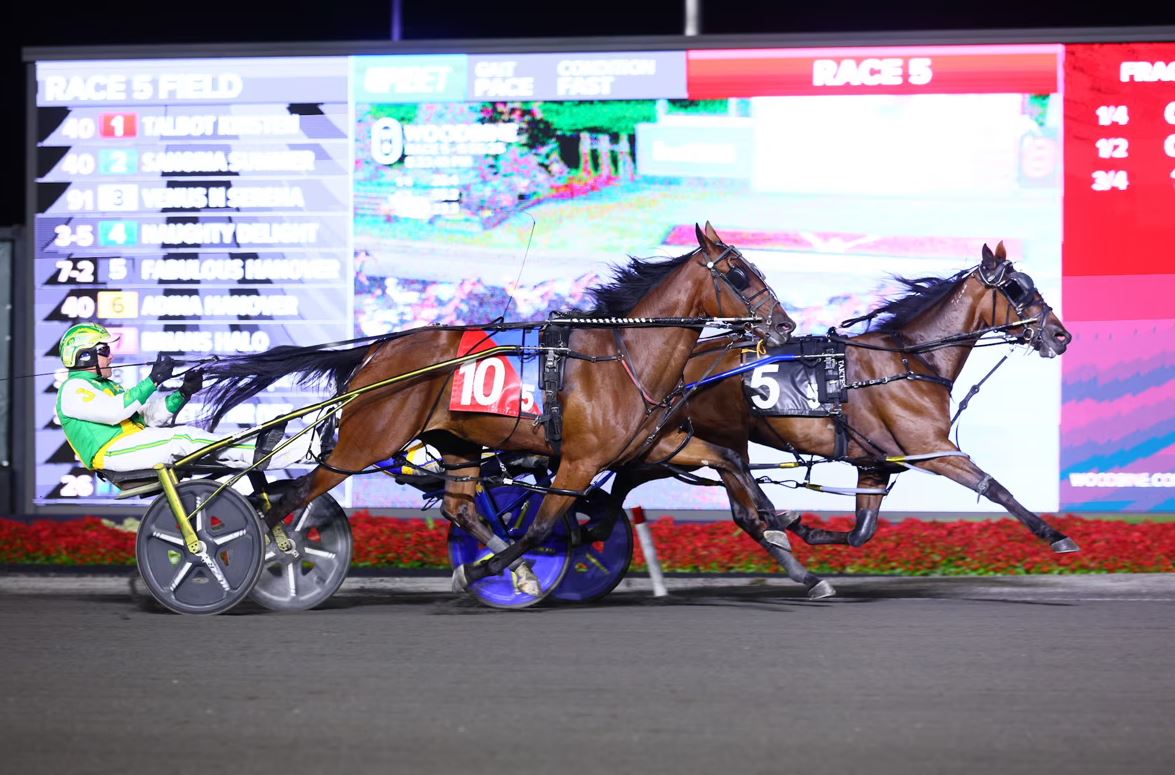 Mohawk fillies deliver drama in $158K Simcoe and $164K Champlain