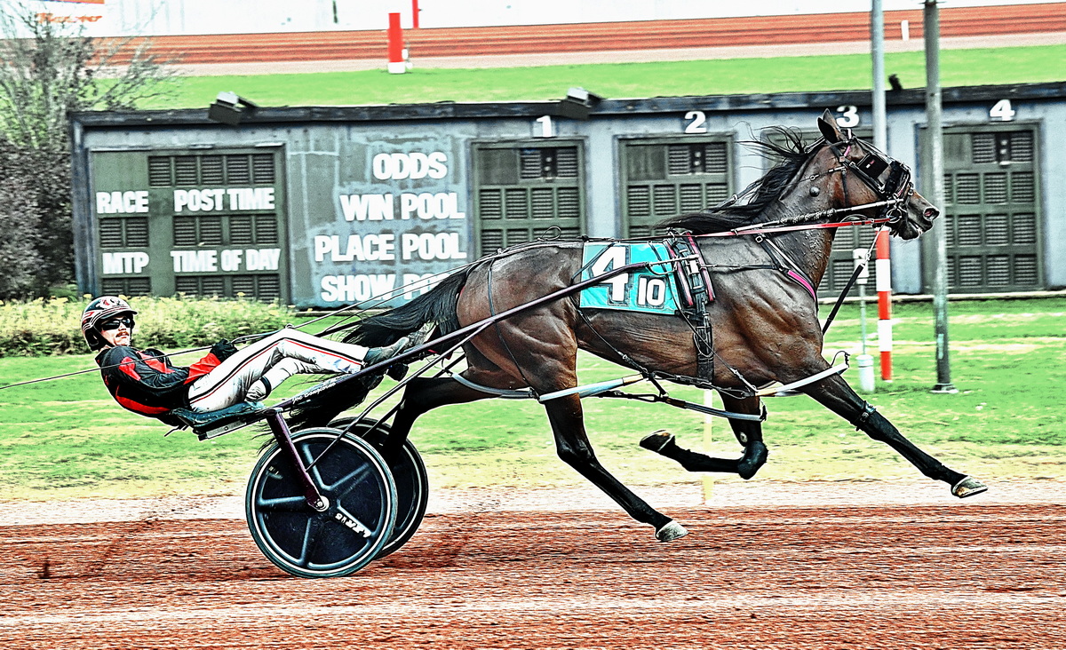 Bongiorno hopeful with Fansville in $125,000 Courageous Lady