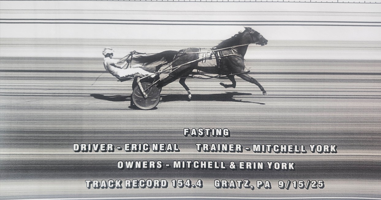 Stay Hungry gelding sets Gratz Fair track record