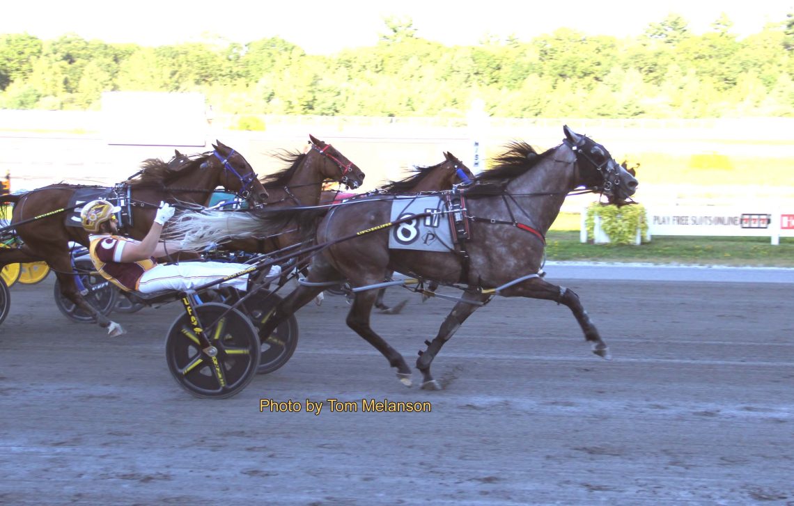 Cullipher and Pollock triple, sweep Plainridge features