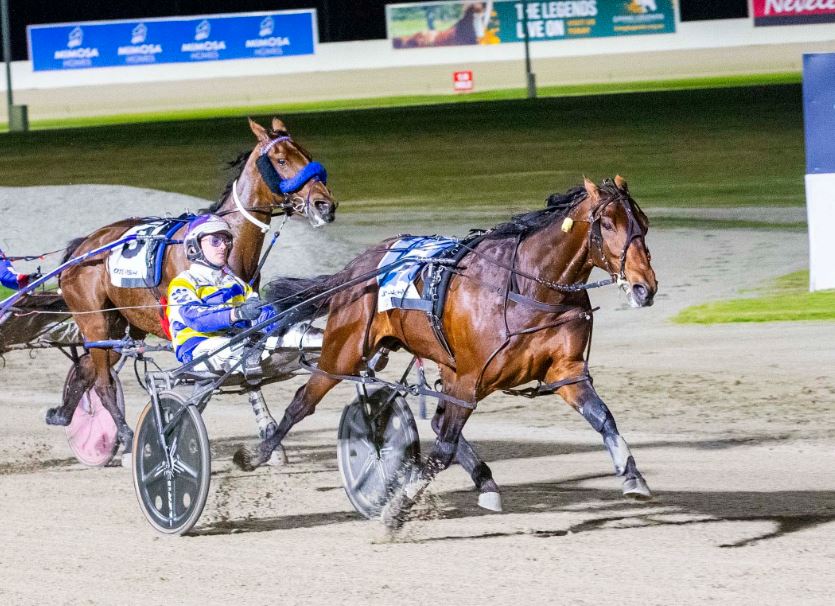 Fox Dan lands Eureka slot