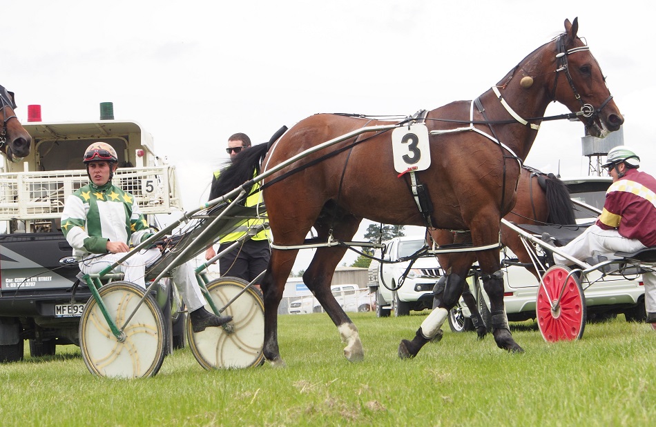 Veteran pacer retired