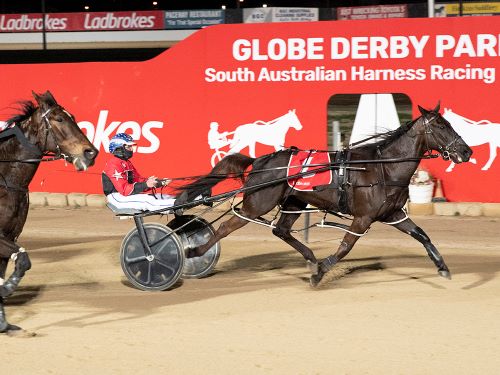 Hasty Bid runs them ragged in 4 and 5YO Classic at Globe Derby
