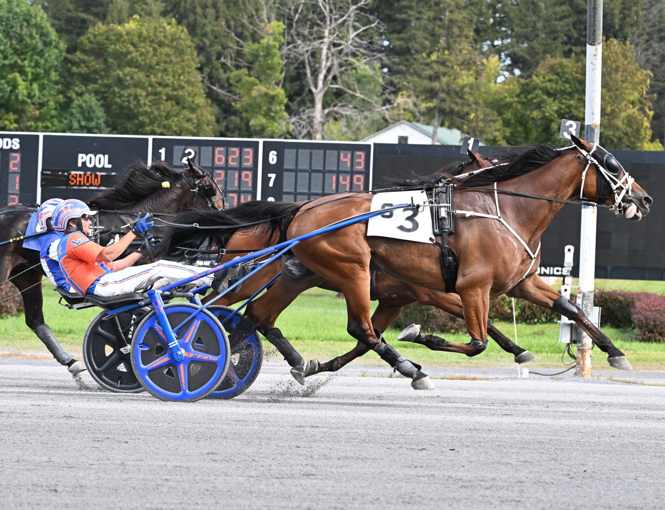 Stalbaum and Bailey do it again