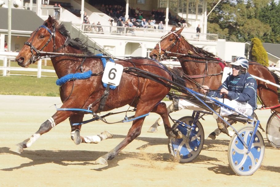 Track records smashed at Oamaru