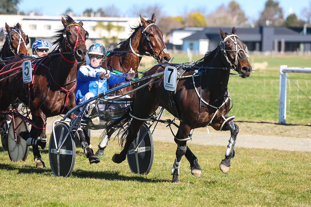 Jake a chance to add to excellent grass track record