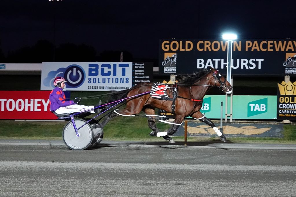 Jungle Dragon slays them