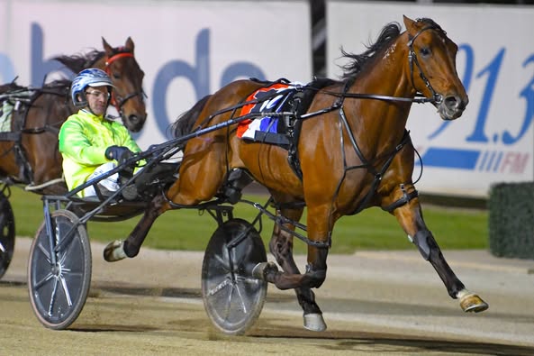 Kingman’s brilliance to the fore