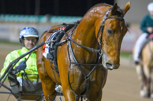 McCarthy flexes muscle across Ballarat and Menangle