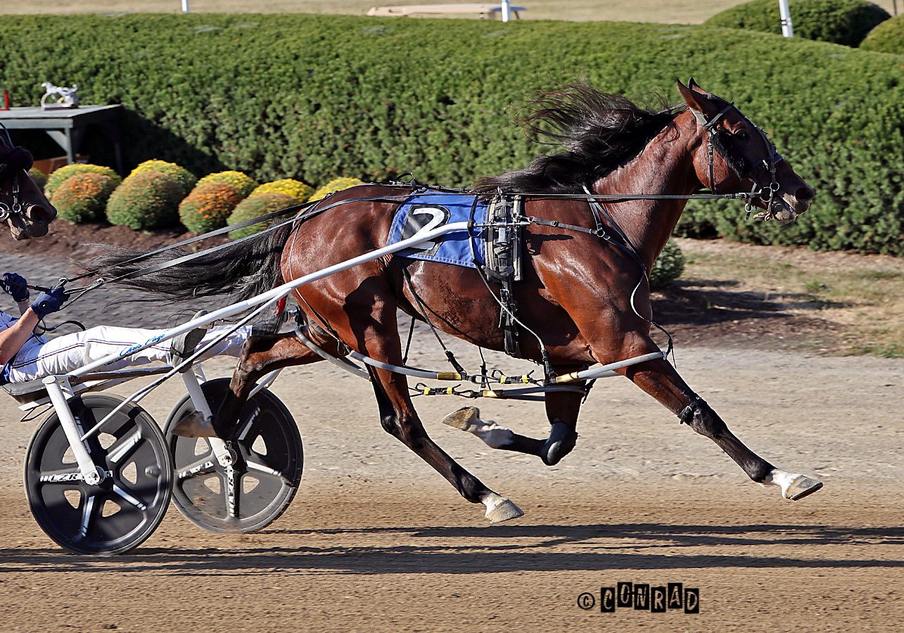 Stakes records fall in Delaware Sunday Action