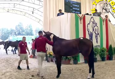 Asta ITS Selezionata sale complete