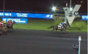 Liberte du Goutier takes Gr II Prix Camille de Wazieres