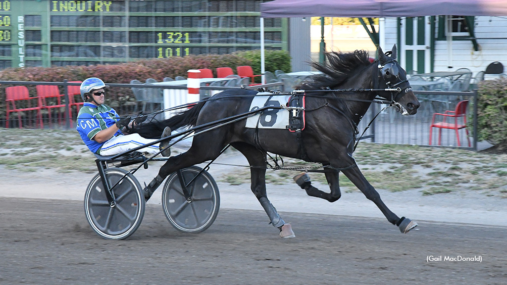 Trotting stars line up on Tuesday