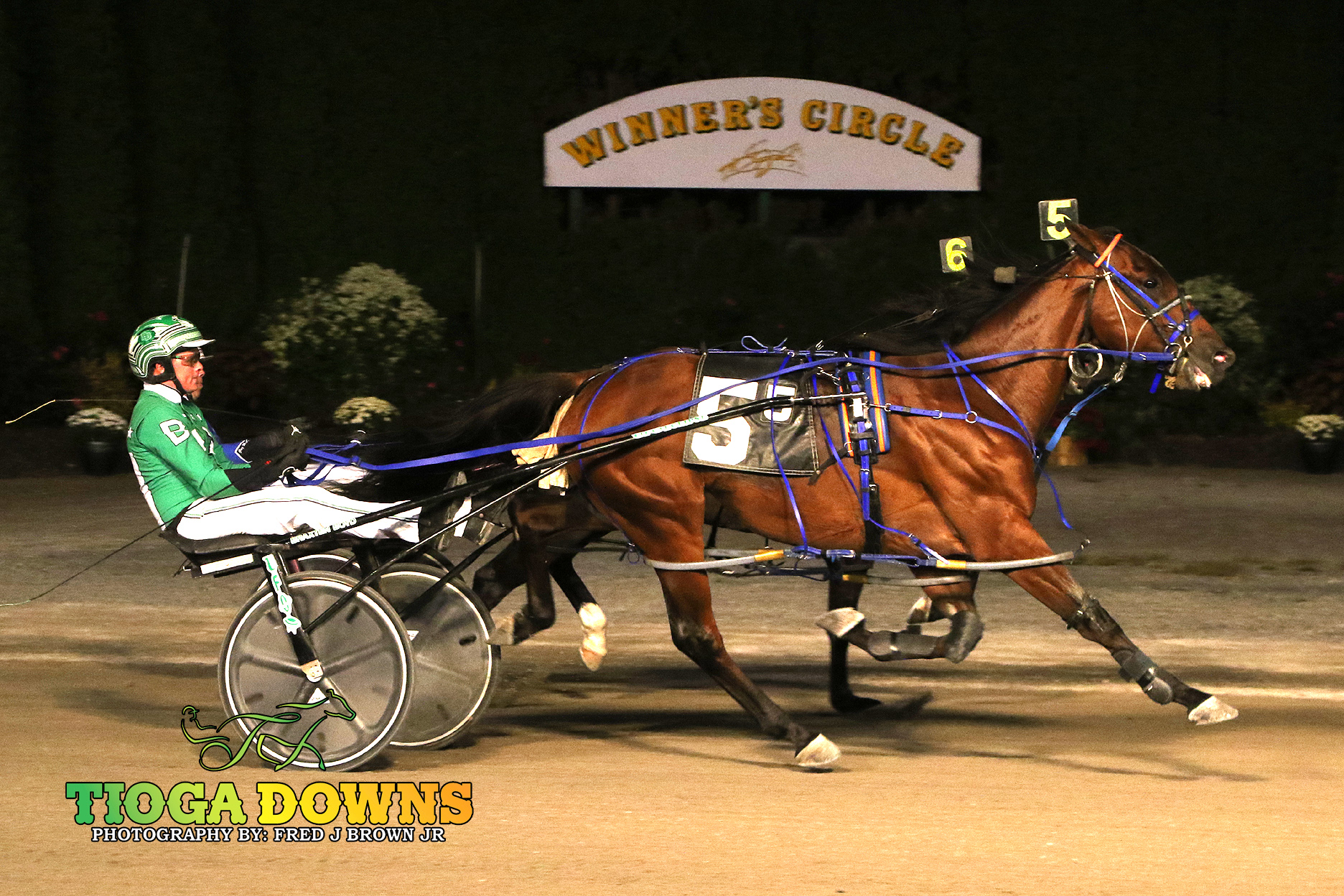 Boyd bags five wins on closing night