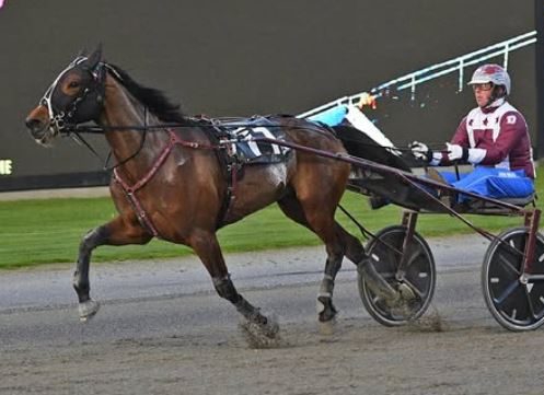 Speed machine takes Metro Trot Heat