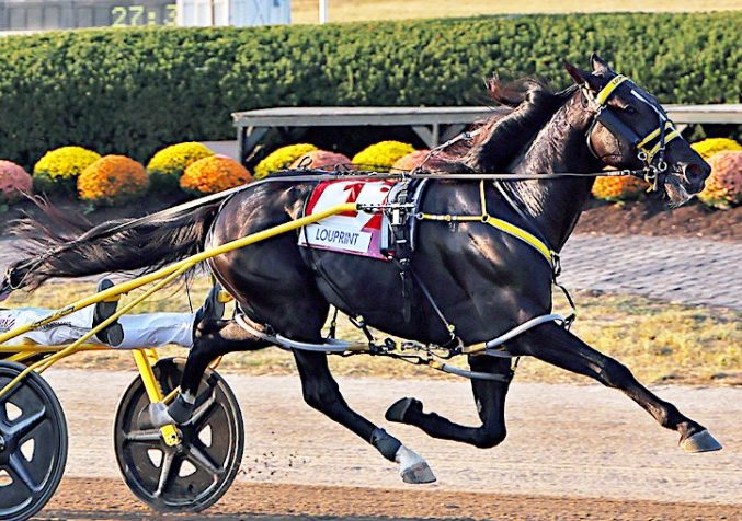 Louprint wins the $500,000 80th Little Brown Jug Final