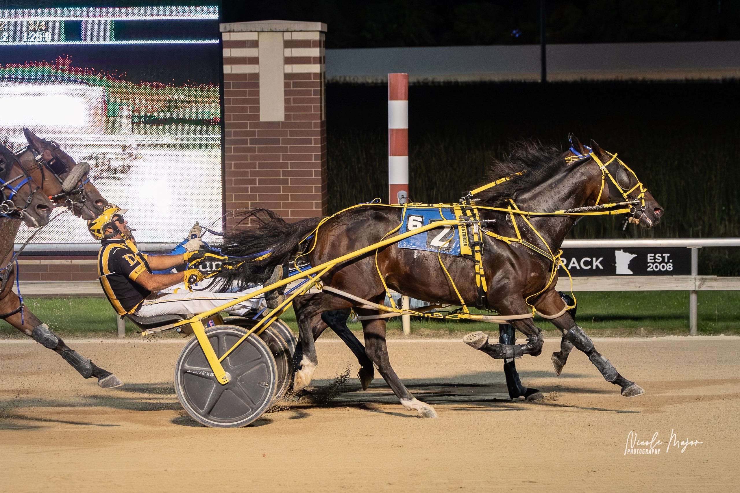 Love Your Work A gets nod in close photo finish