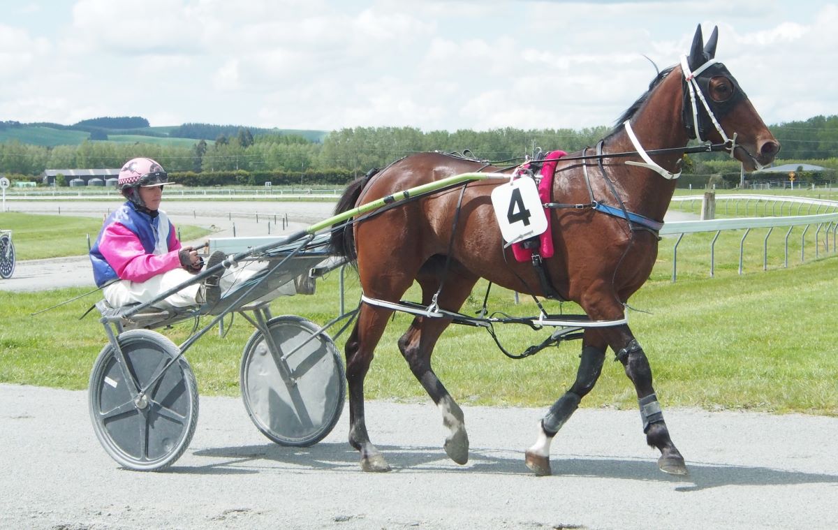 Tony’s trio for Ascot Park