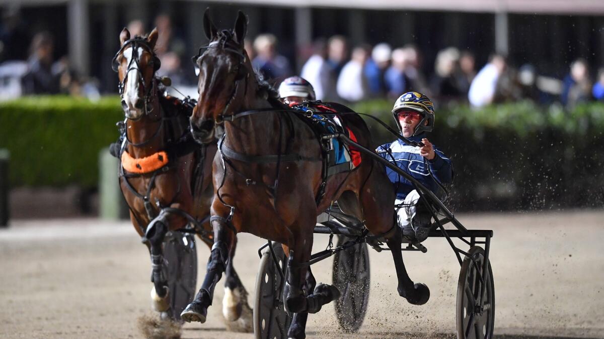 Lather Up filly cleans up older rivals