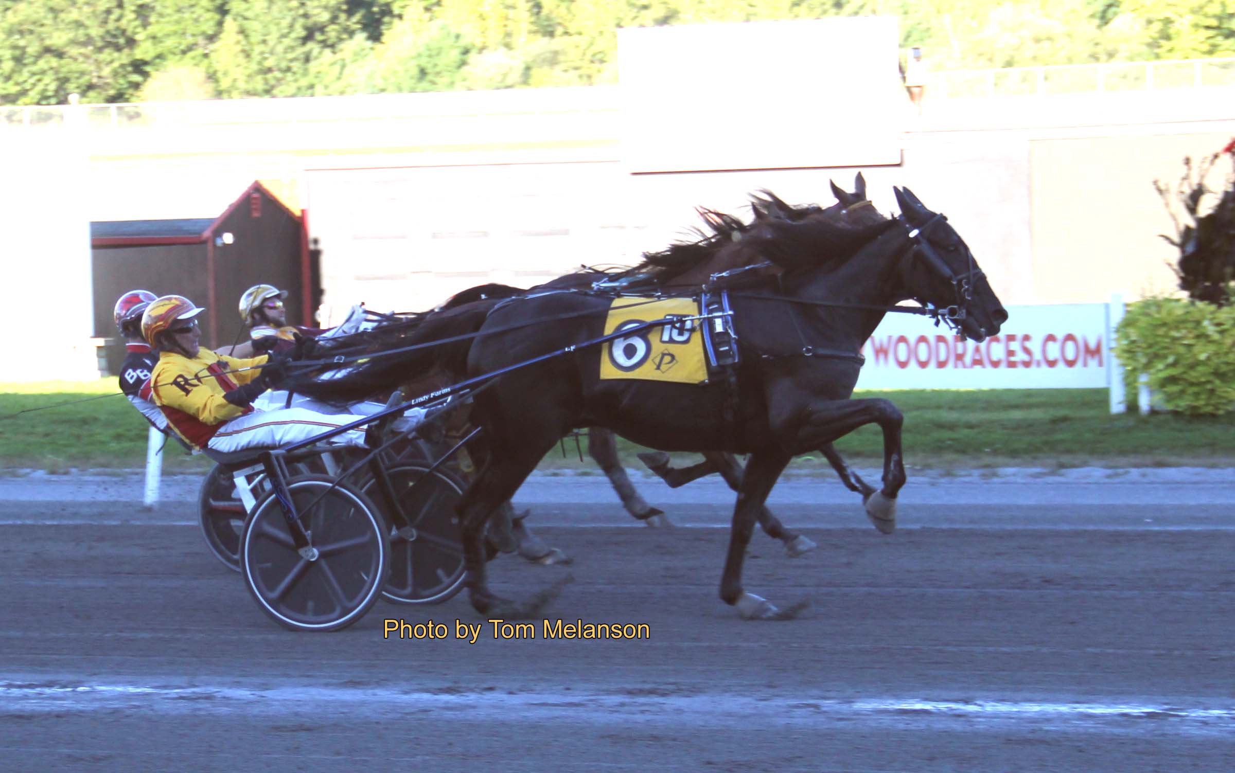 Marquis Lafayette, Matty Ice big winners