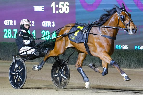 Miss Ohana and Tracy The Jet shine in Nutrien Heats at Bendigo