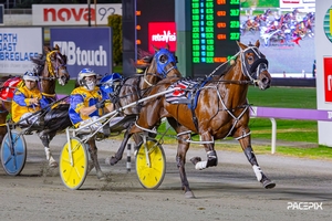 Mister Smartee in ominous warning