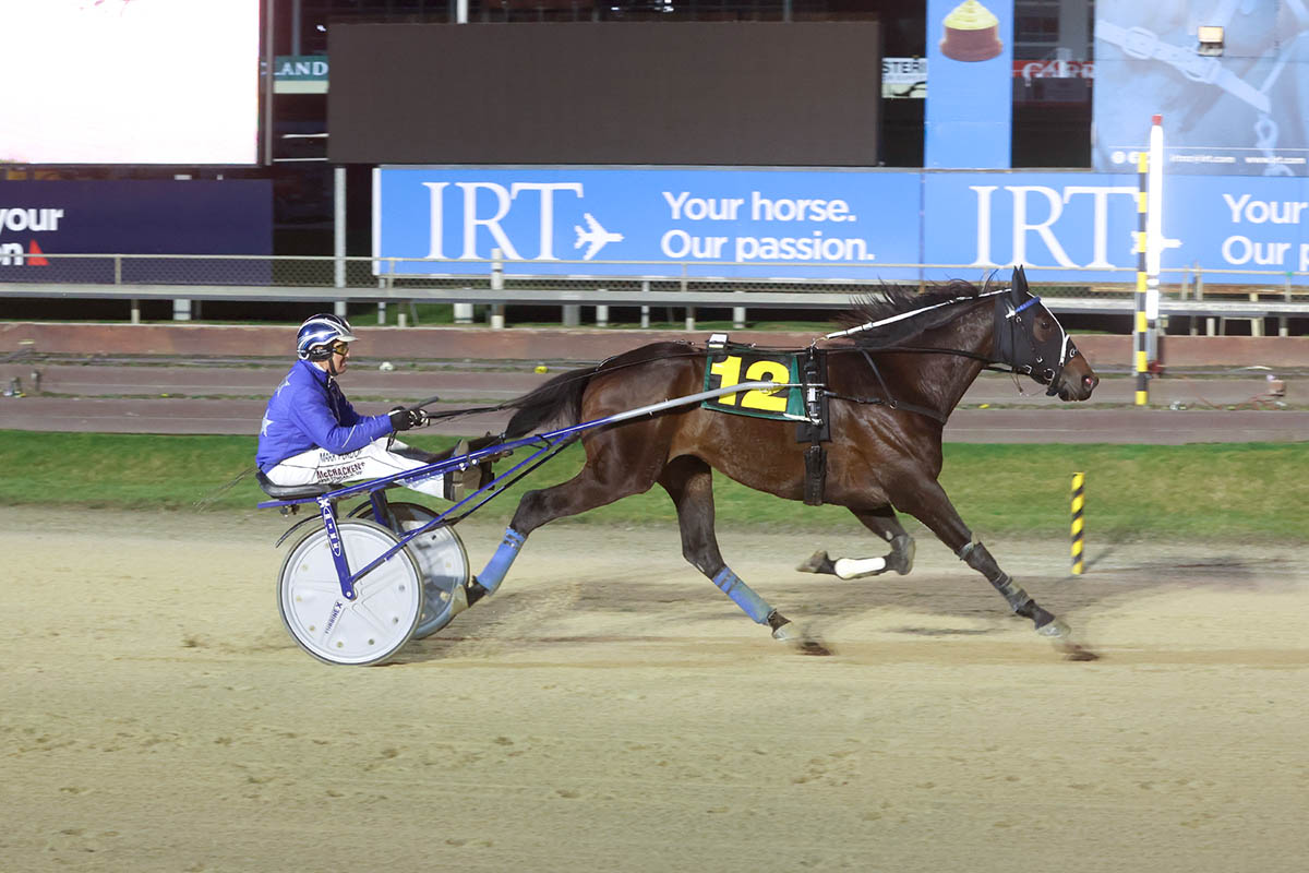 Stars shine at Addington