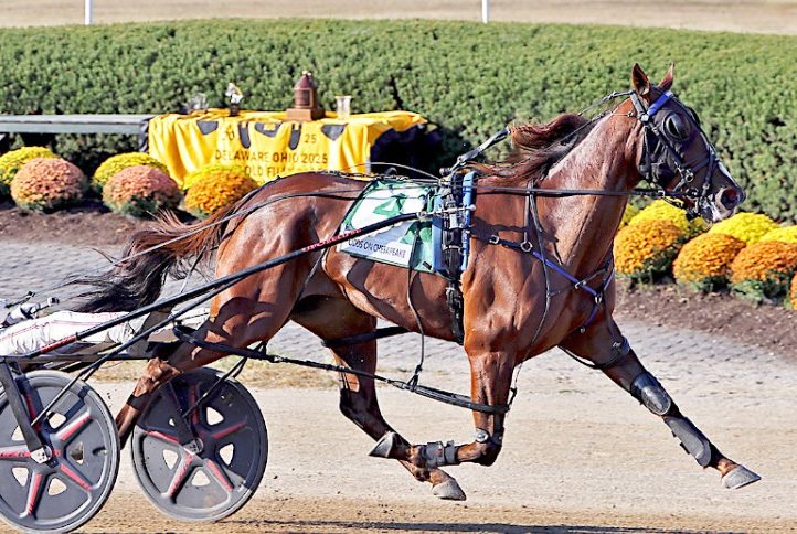 Rodeo Drive Deo, Odds On Chesapeake win Jugette elims