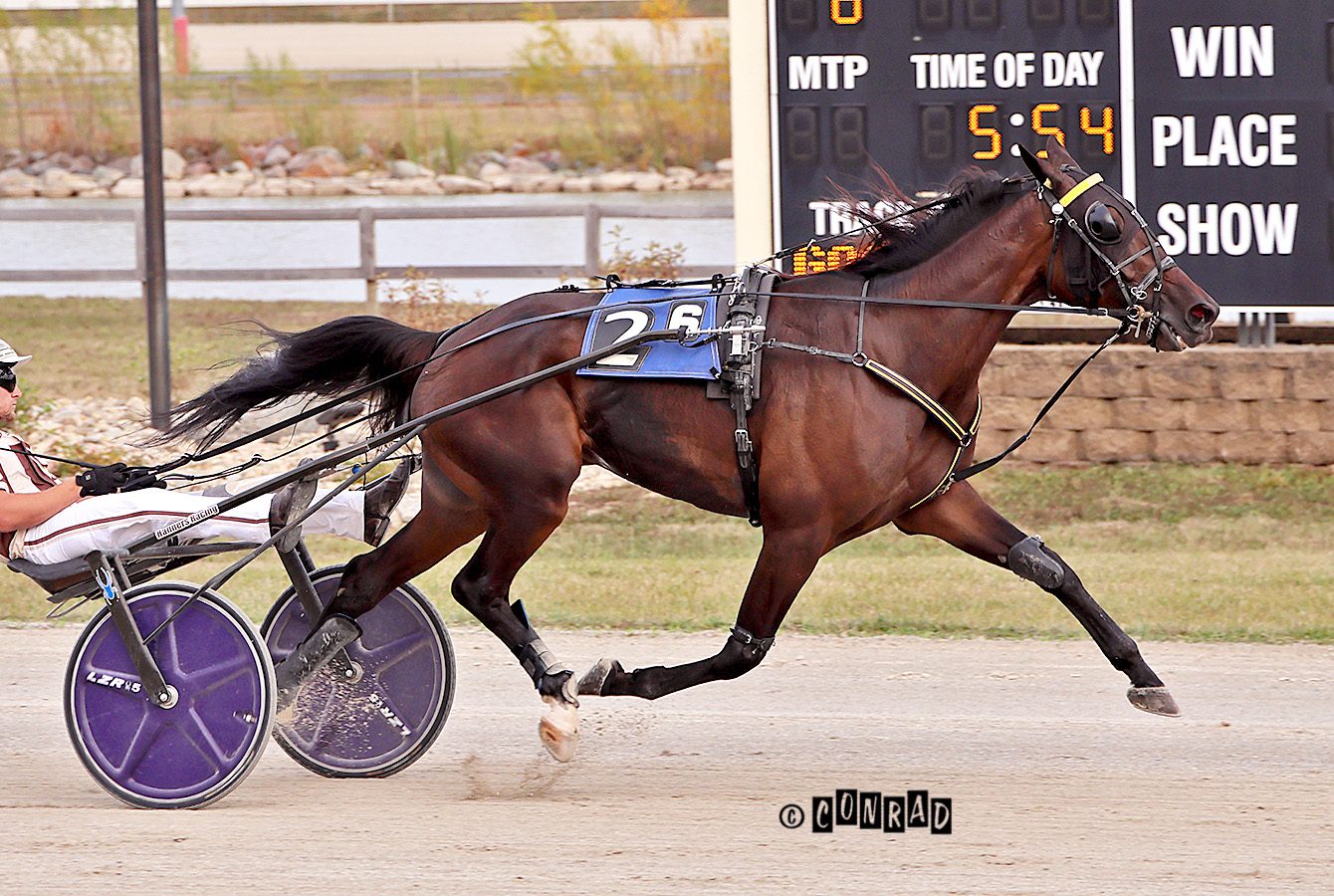 Oh Look Magic takes $28,000 Open Trot