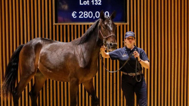 Osez Josselyn leads Arqana Trot Yearling sessions