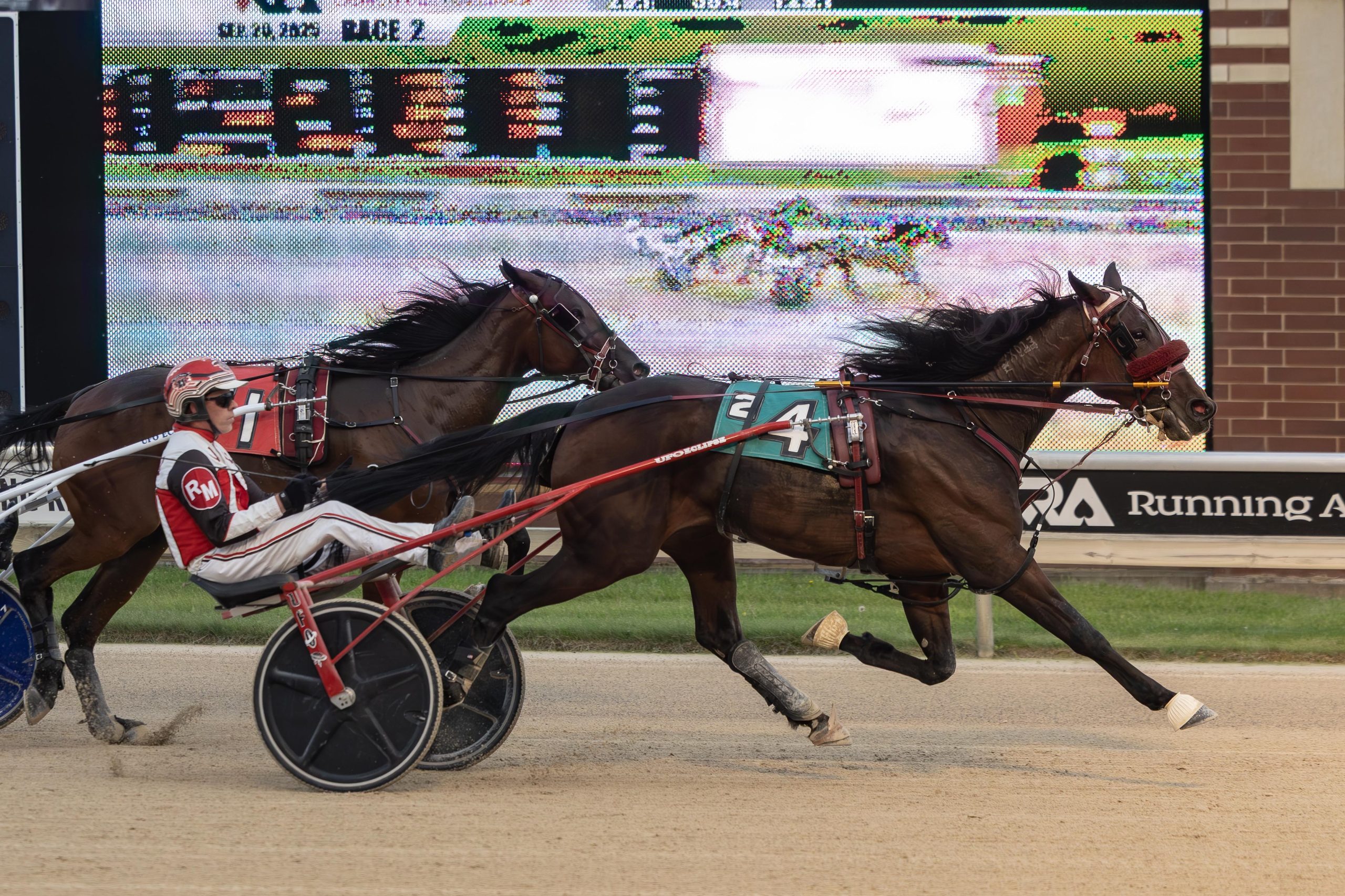 Peanutbutterflacon sets state earnings record with 10th straight win