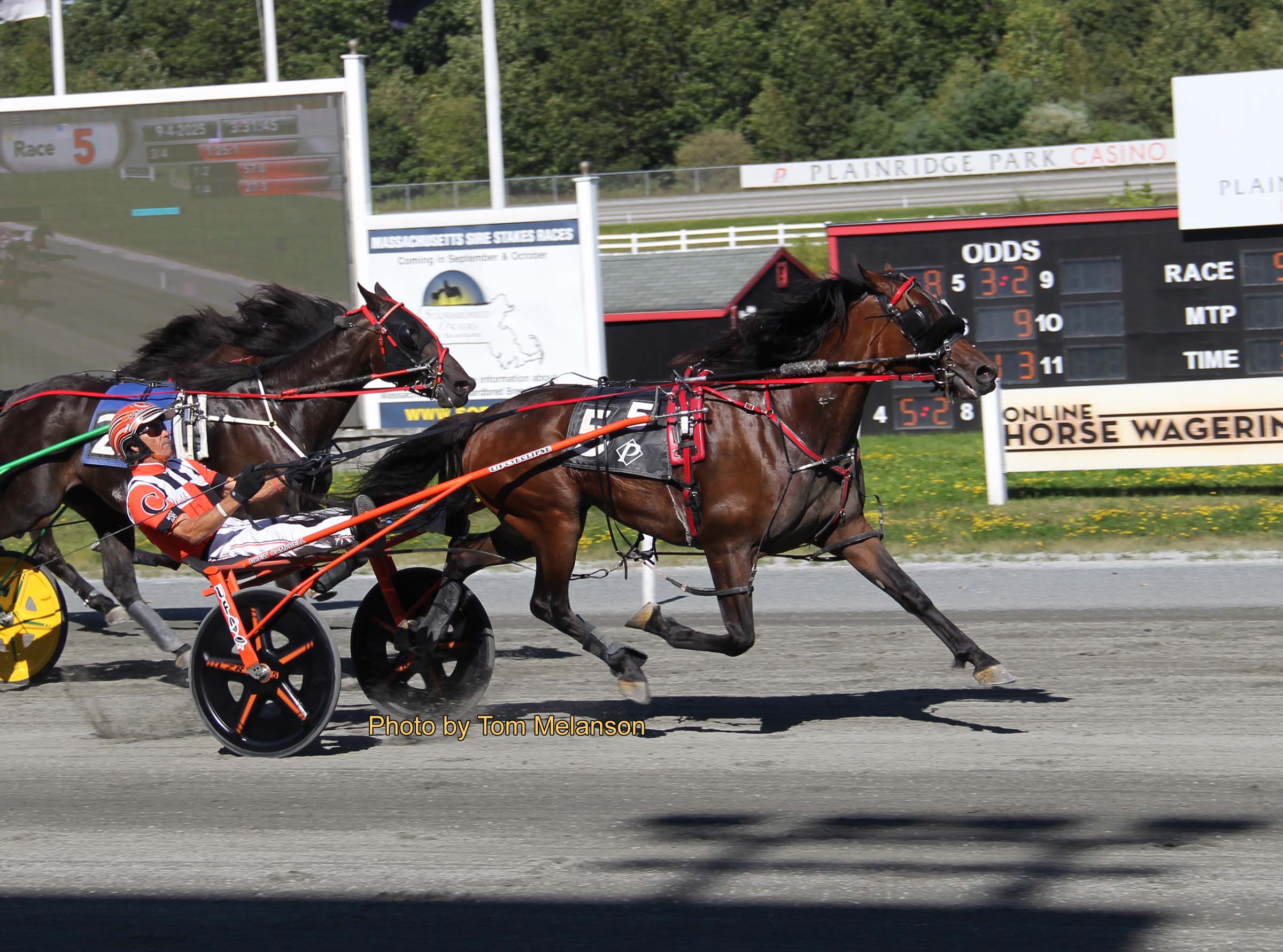 $5 and $17 winners spark late-kicking upsets