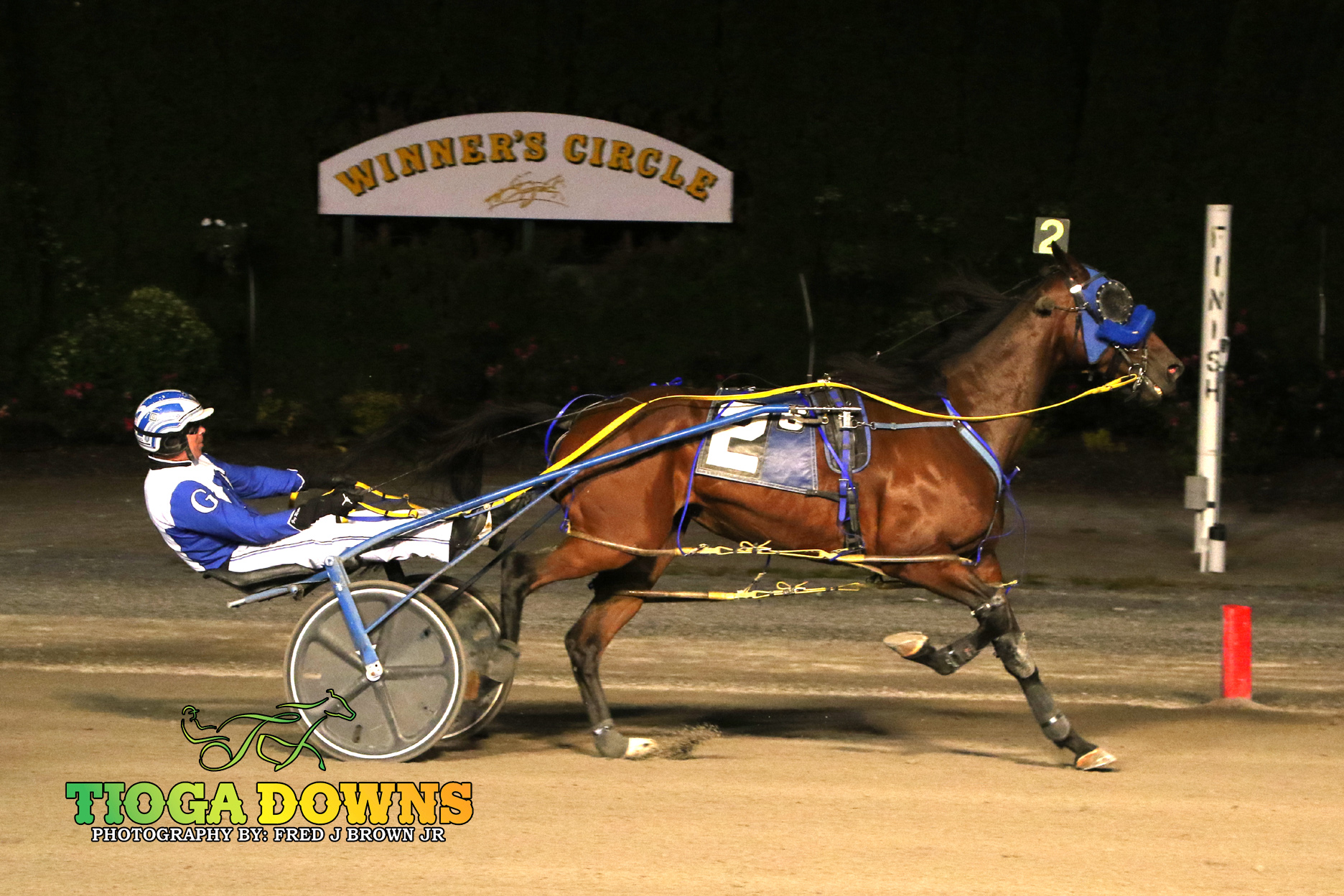 Prospectors Gold, Lady Saturn shine in twin features