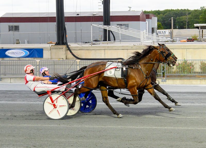 Ragtime Red reels off another win