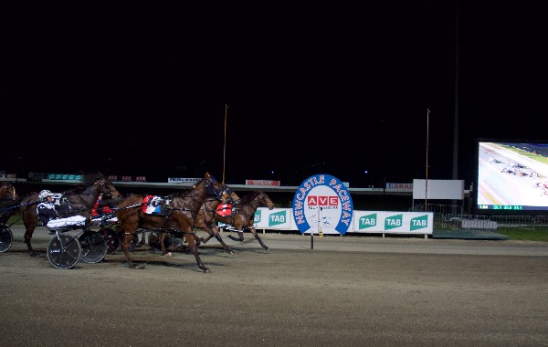 Chloe Formosa strikes in Newcastle Nutrien Heat