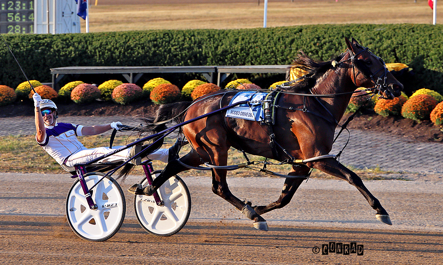 Jugette winner headlines $125,000 Courageous Lady