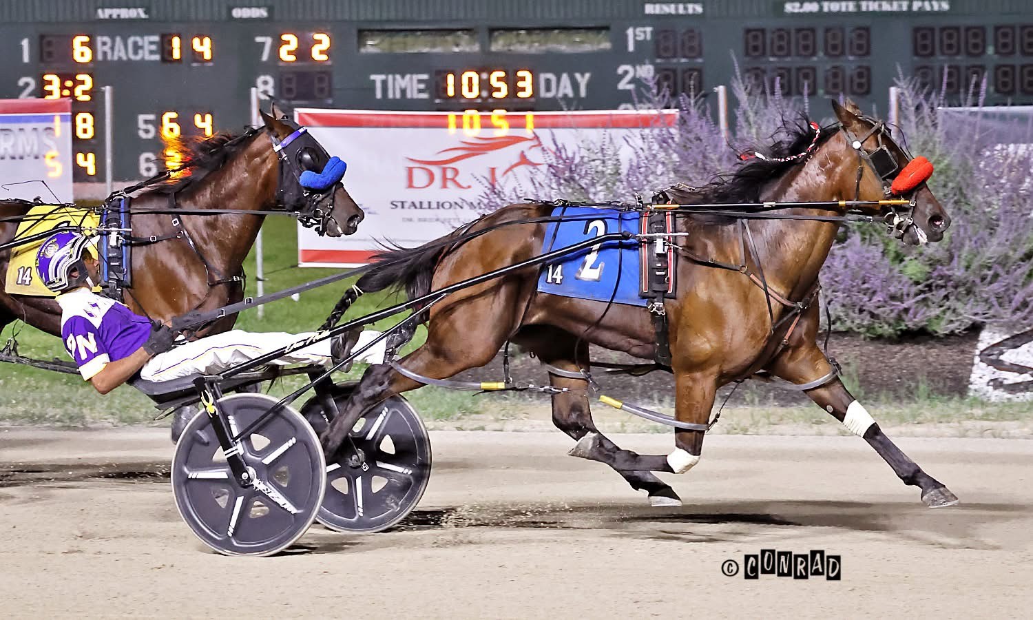 Rose Run Aimee supplements into the 55th Jugette