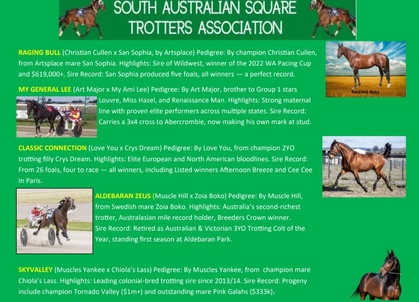 SA Square Trotters Stallion Tender closes October 1!