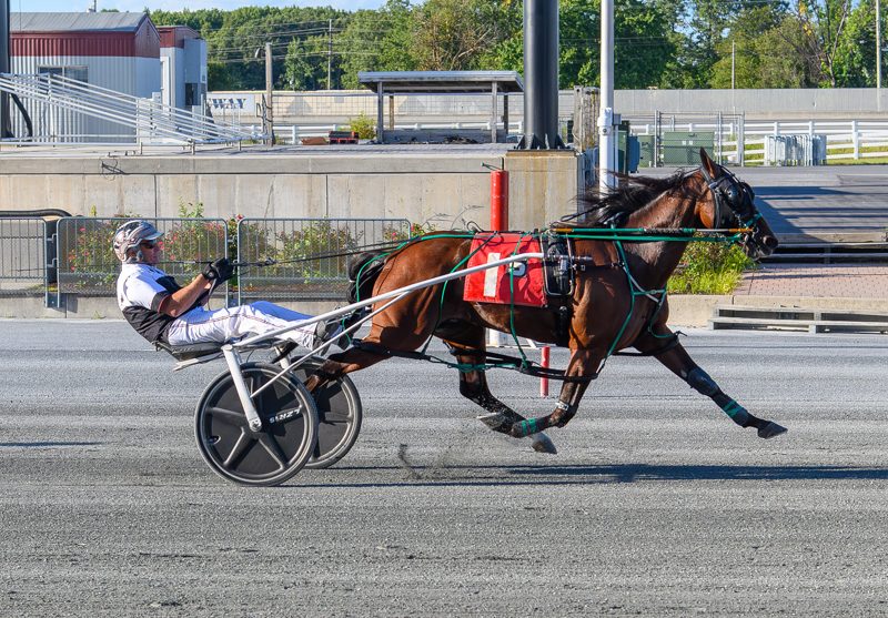 Sweet Angel Boy returns to winner’s circle