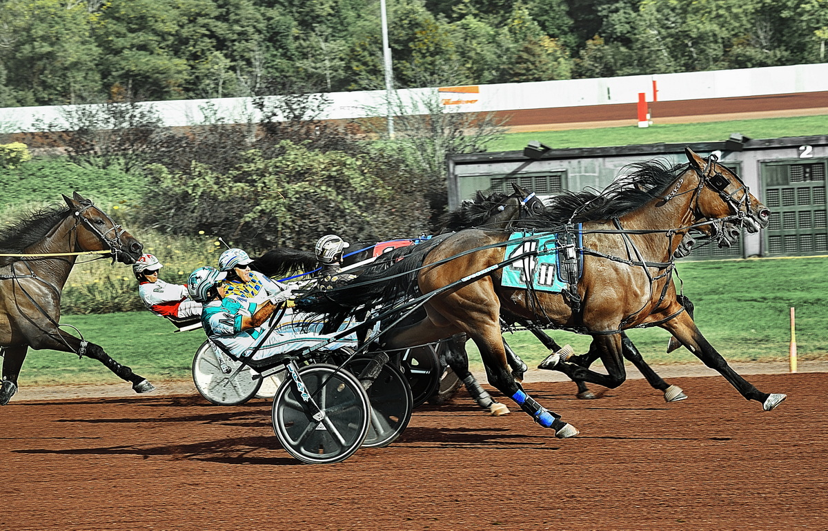 Scudo Hanover gets judges call in tight finish