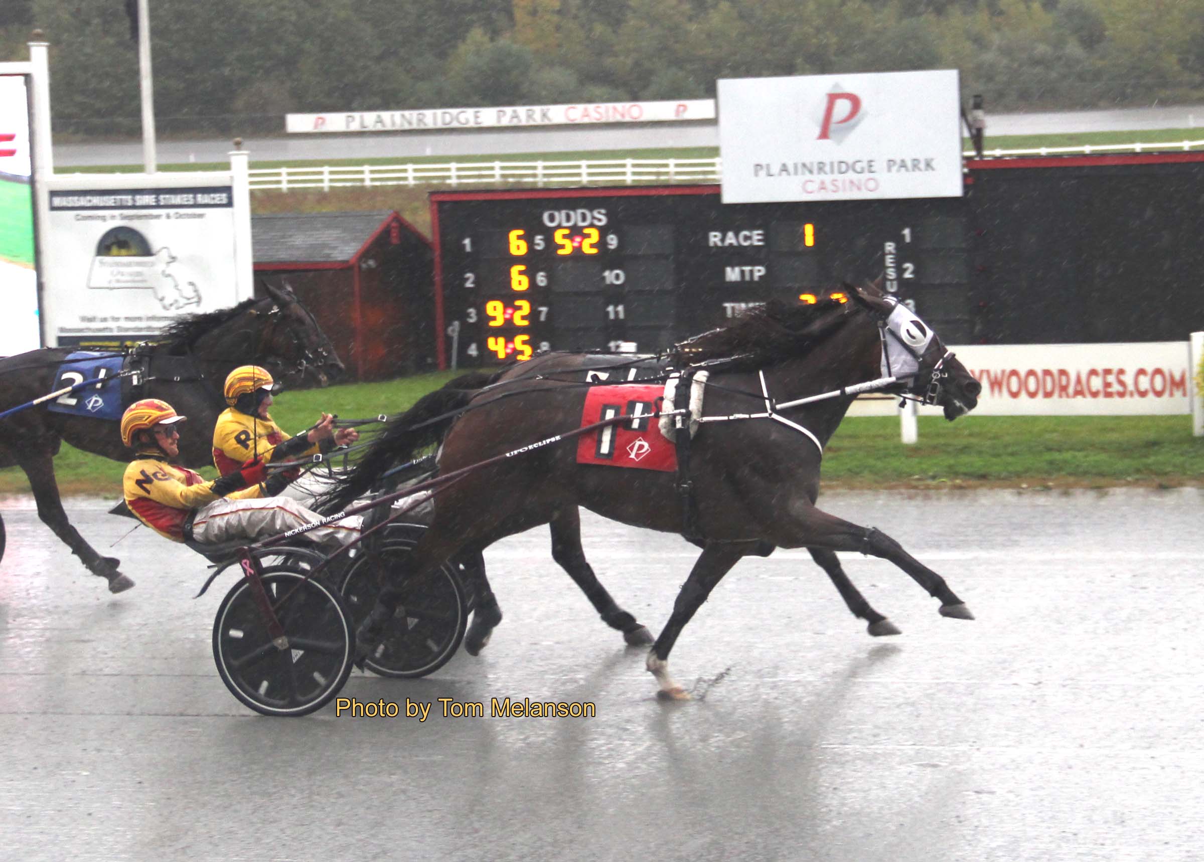 Sea Can enjoys the wet track