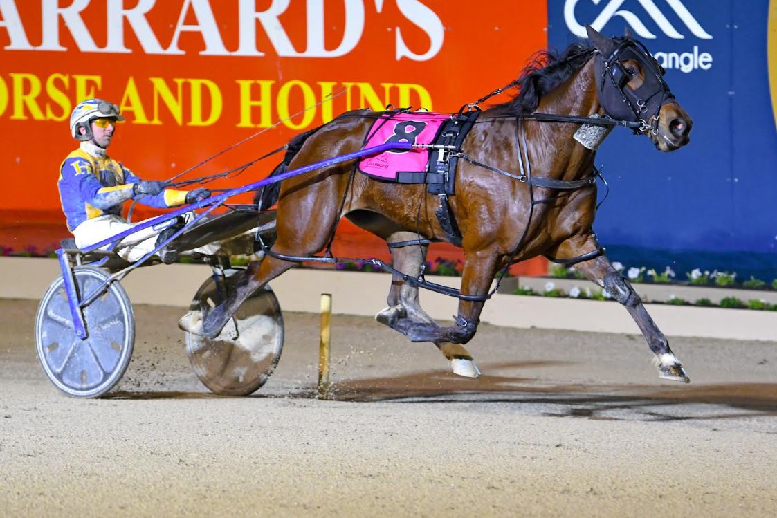 Pink Diamond winner by Warrawee Needy