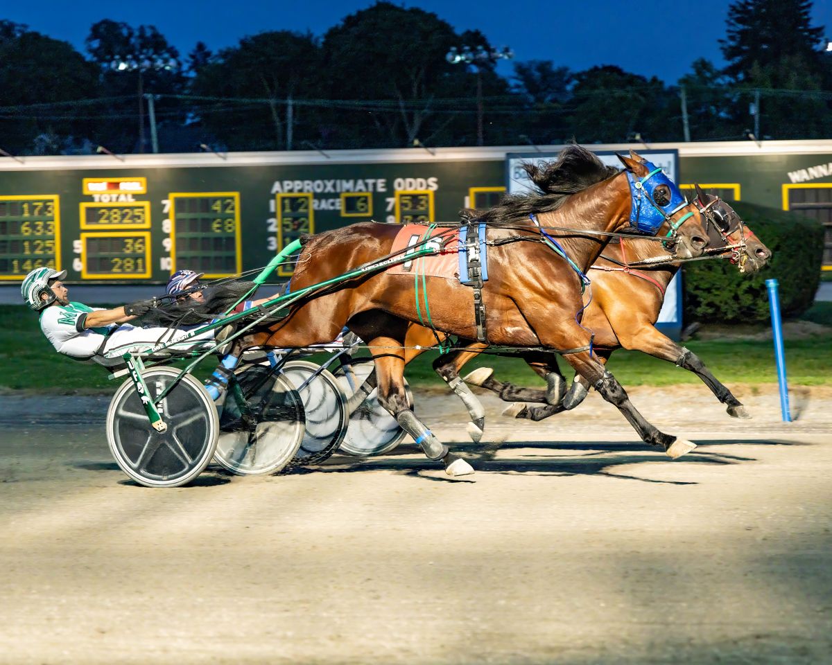 Spicy Hops upsets in feature trot