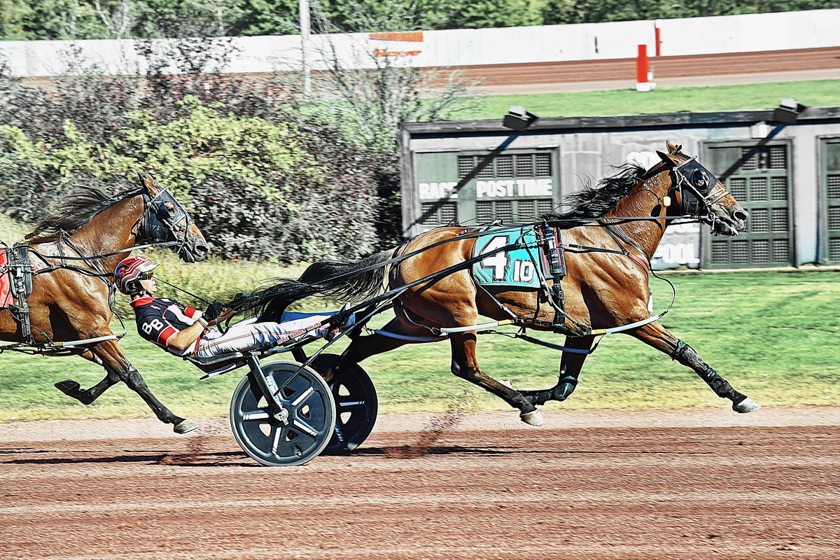 Rising star Beckwith bags five