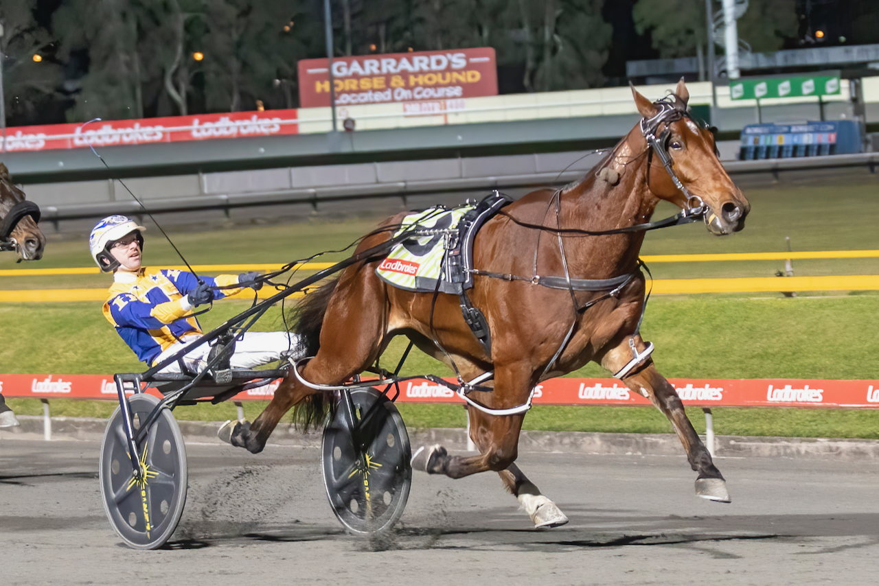 From Havelock North to the Hunter Cup