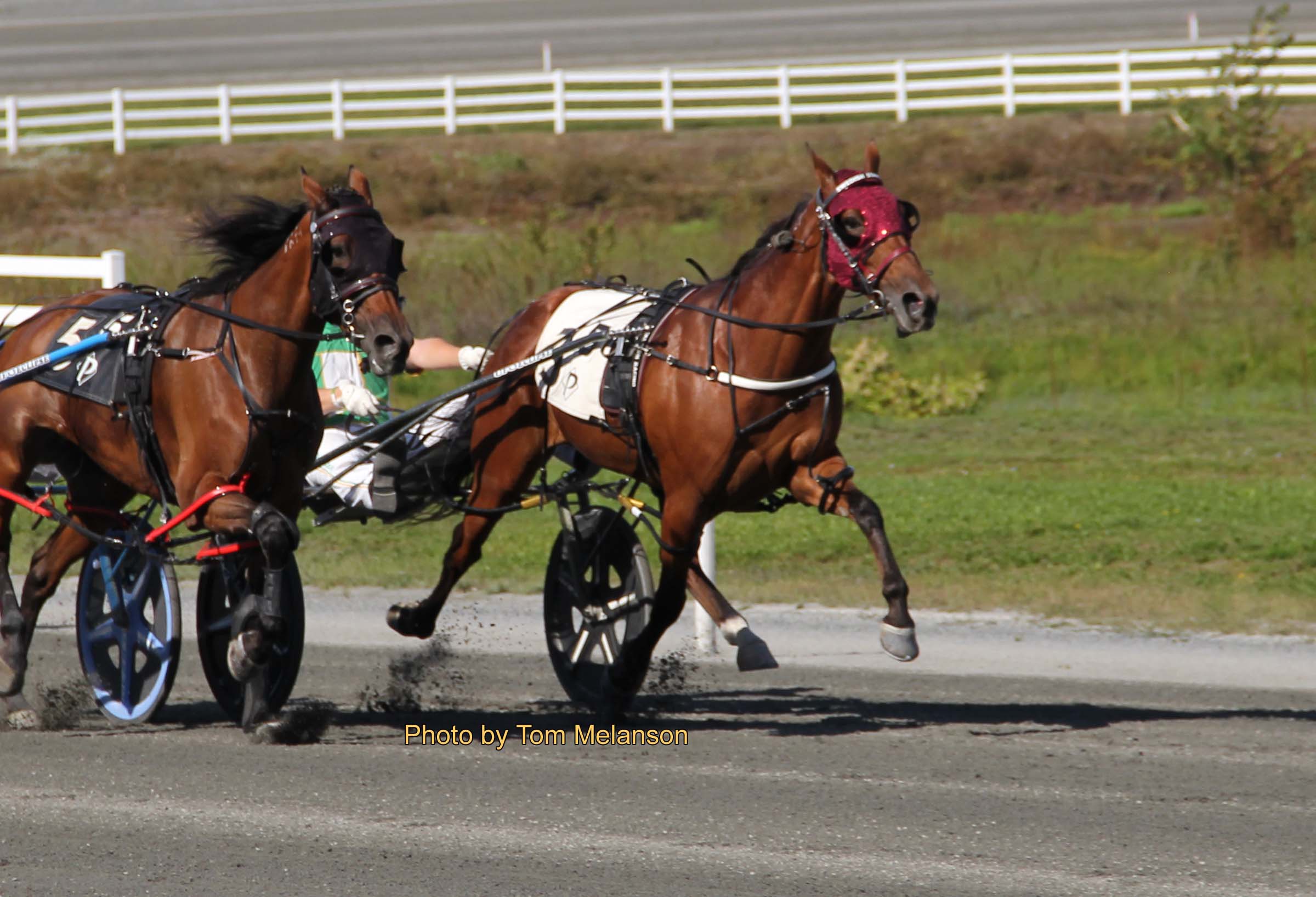 Swedish Starlet holds off Always Bstunning