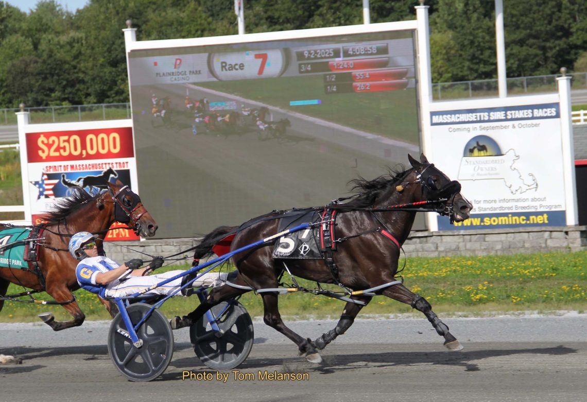 Cullipher and Pollock triple, sweep Plainridge features