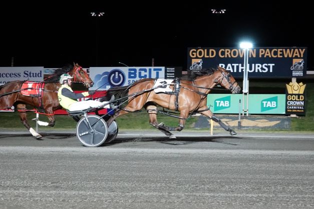 Tenaciously and Smirkin Serene prevail in Breeders Heats at Bathurst