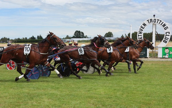 Grasstrack season starts with Methven on Sunday