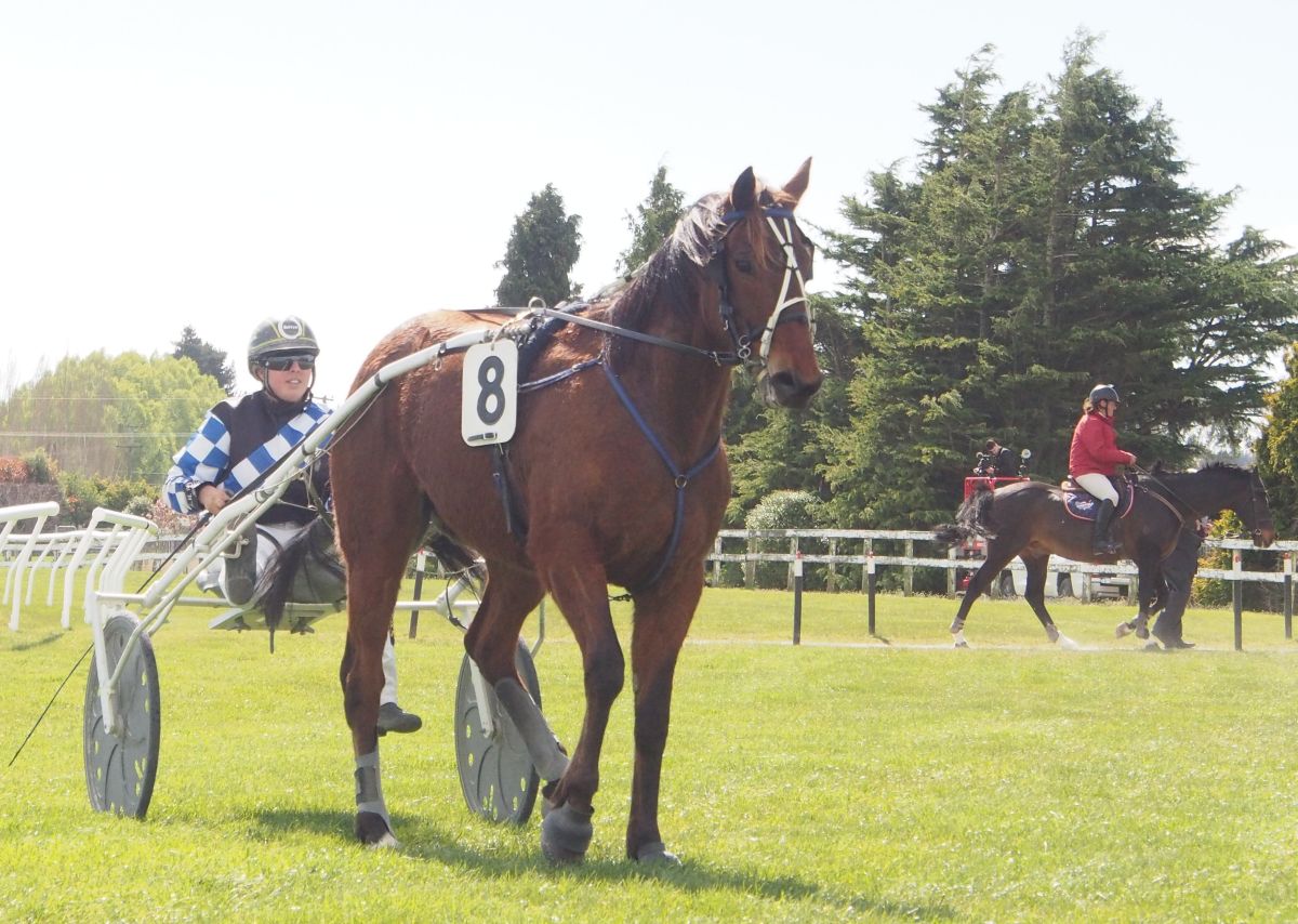 Three year old beats older rivals